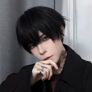 Krátká pánská paruka